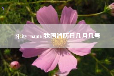 广饶我国消防日几月几号