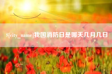 广饶我国消防日是哪天几月几日
