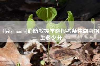广饶消防救援学院报考条件湖南招生多少分