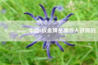 广饶中国6枚金牌是哪些人获得的