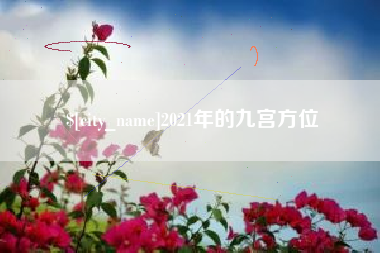 广饶2021年的九宫方位