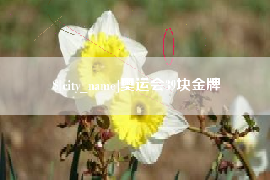 广饶奥运会39块金牌