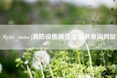 广饶消防设施操作员证书查询网址