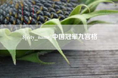 广饶中国冠军九宫格