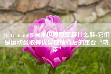 广饶5000米世界冠军穿什么鞋-它们是运动员取得优异成绩背后的重要“功臣”