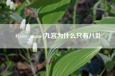 广饶九宫为什么只有八卦