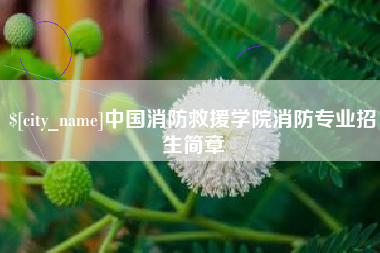 广饶中国消防救援学院消防专业招生简章