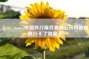 广饶中国执行案件查询公开网都是执行不了得案子