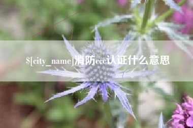 广饶消防ccc认证什么意思