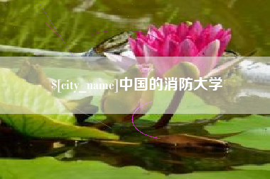 广饶中国的消防大学