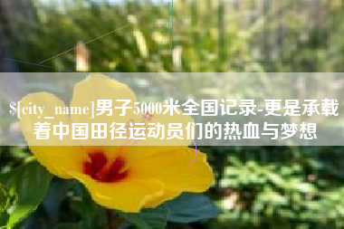 广饶男子5000米全国记录-更是承载着中国田径运动员们的热血与梦想
