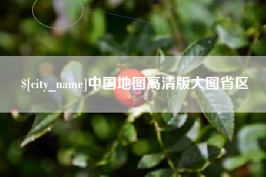 广饶中国地图高清版大图省区