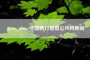 广饶中国执行信息公开网查询