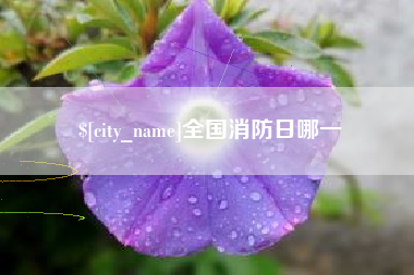 广饶全国消防日哪一