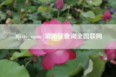 广饶消防证查询全国联网