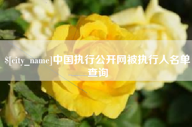 广饶中国执行公开网被执行人名单查询