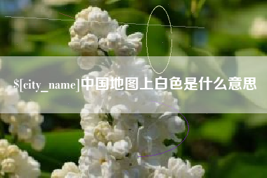 广饶中国地图上白色是什么意思