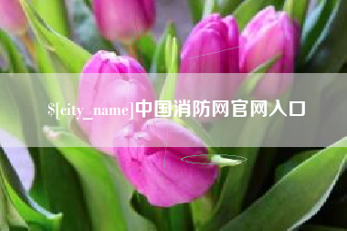 广饶中国消防网官网入口