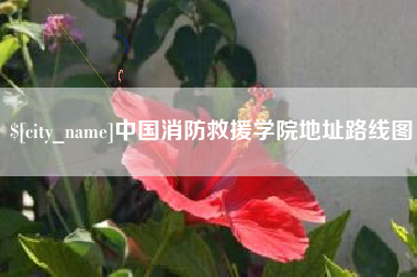 广饶中国消防救援学院地址路线图