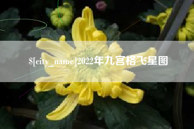 广饶2022年九宫格飞星图
