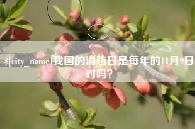 广饶我国的消防日是每年的11月9日对吗？
