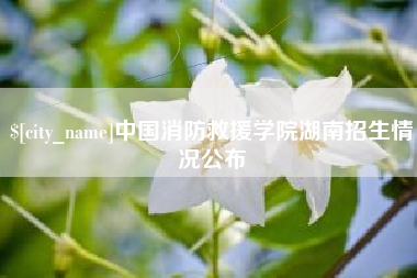 广饶中国消防救援学院湖南招生情况公布
