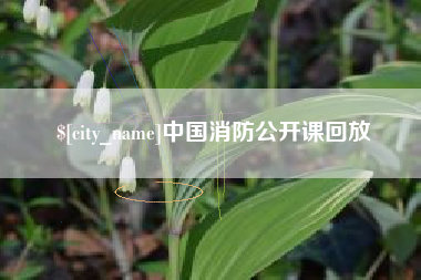 广饶中国消防公开课回放