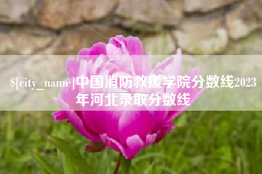 广饶中国消防救援学院分数线2023年河北录取分数线