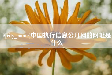 广饶中国执行信息公开网的网址是什么