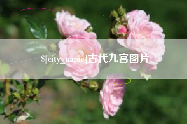广饶古代九宫图片