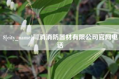 广饶川消消防器材有限公司官网电话