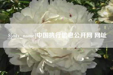 广饶中国执行信息公开网 网址