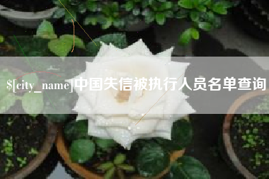 广饶中国失信被执行人员名单查询