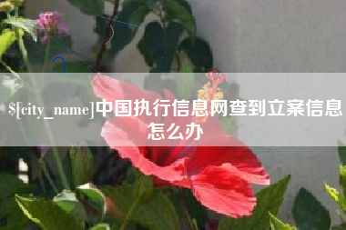 广饶中国执行信息网查到立案信息怎么办