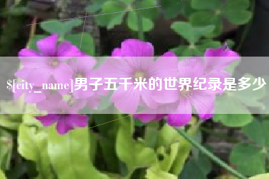 广饶男子五千米的世界纪录是多少