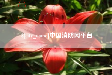 广饶中国消防网平台