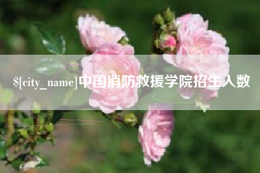 广饶中国消防救援学院招生人数