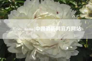 广饶中国消防网官方网站