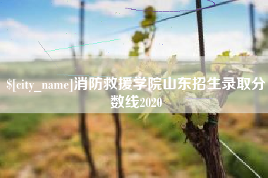 广饶消防救援学院山东招生录取分数线2020
