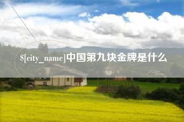 广饶中国第九块金牌是什么