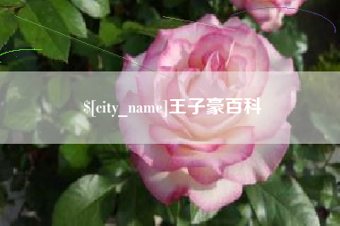 广饶王子豪百科