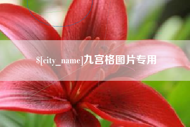 广饶九宫格图片专用