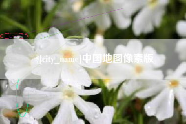 广饶中国地图像素版