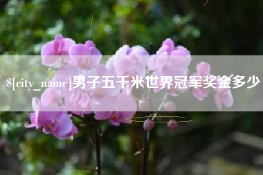 广饶男子五千米世界冠军奖金多少