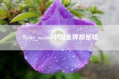 广饶中国金牌都是啥