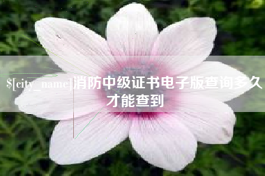 广饶消防中级证书电子版查询多久才能查到