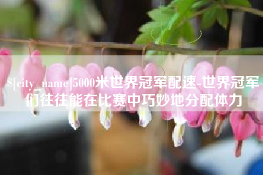 广饶5000米世界冠军配速-世界冠军们往往能在比赛中巧妙地分配体力