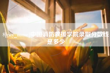 广饶中国消防救援学院录取分数线是多少