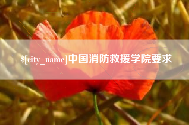 广饶中国消防救援学院要求