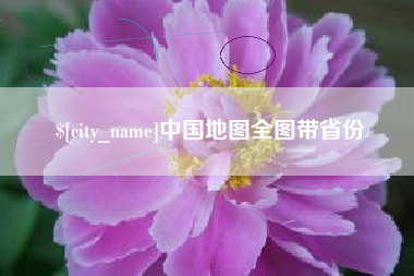 广饶中国地图全图带省份